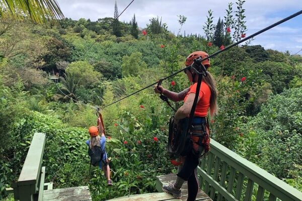 Jungle Zipline Maui | 8 or 5-Line Family Adventure Tour - Image 2