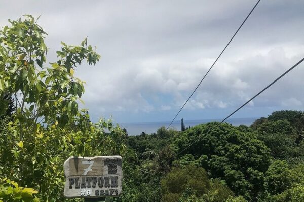 Jungle Zipline Maui | 8 or 5-Line Family Adventure Tour - Image 3