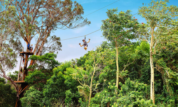 : Zipline Canopy Tour - Zipline experience by Northshore Zipline Co in Maui
