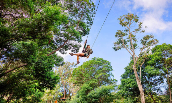 : Zipline Canopy Tour - Zipline experience by Northshore Zipline Co in Maui