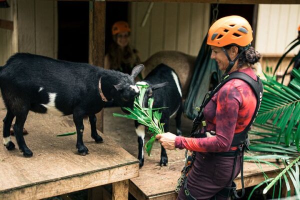 Jungle Zipline Maui | 8 or 5-Line Family Adventure Tour - Image 6