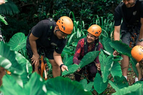 Jungle Zipline Maui | 8 or 5-Line Family Adventure Tour - Image 7