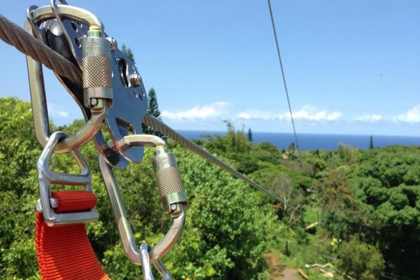 Jungle Zipline Maui | 8 or 5-Line Family Adventure Tour - Image 9